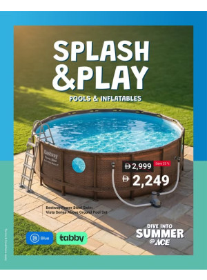 Dive Into Summer