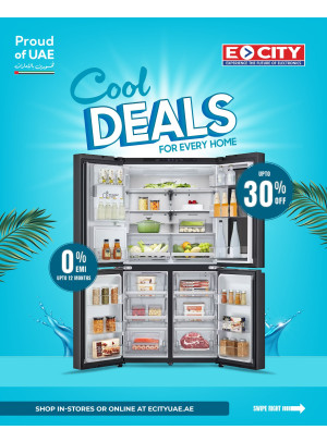 ECity Cool Deals Flyer